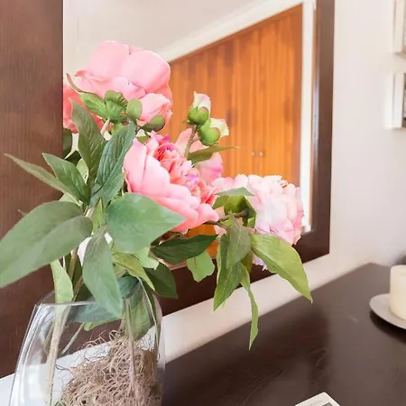 Apartamento Praia Sao Martinho Do Porto