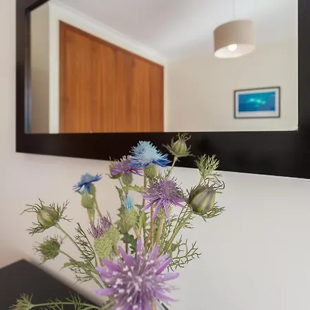 Apartamento Praia Sao Martinho Do Porto Apartment Sao Martinho do Porto