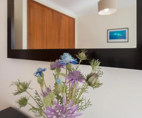 Apartamento Praia Sao Martinho Do Porto Appartement São Martinho do Porto